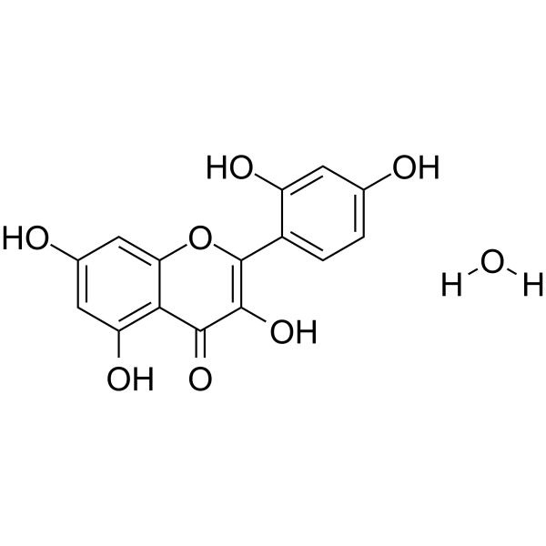Morin monohydrate 6202-27-3